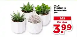 PLUS Plus vetplant in keramieken pot aanbieding