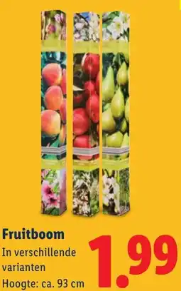 Lidl Fruitboom aanbieding