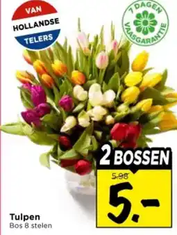 Vomar Voordeelmarkt Tulpen aanbieding