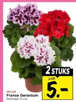 Vomar Voordeelmarkt Franse Geranium aanbieding
