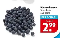 Hoogvliet Blauwe bessen aanbieding