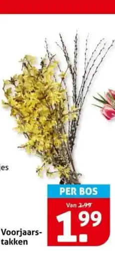 Hoogvliet Voorjaars- takken aanbieding