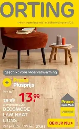 Praxis DECOMODE LAMINAAT LIONS aanbieding