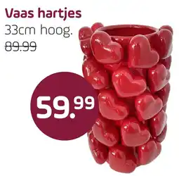 Coppelmans Vaas harties aanbieding