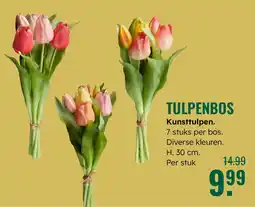 GroenRijk Tulpenbos aanbieding