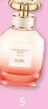 DA Coach Dreams sunset aanbieding