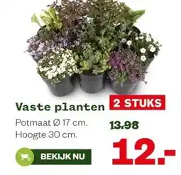 Welkoop Vaste planten aanbieding