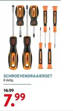Kluswijs SCHROEVENDRAAIERSET aanbieding