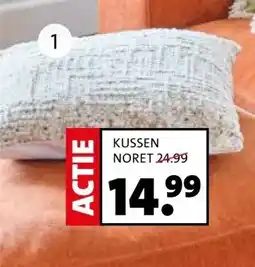 Intratuin Kussen Noret aanbieding