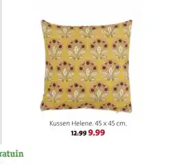 Intratuin Kussen Helene aanbieding