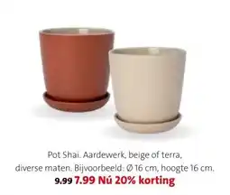 Intratuin Pot Shai aanbieding