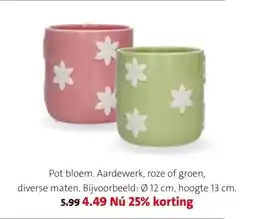 Intratuin Pot bloem aanbieding