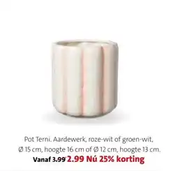 Intratuin Pot Terni aanbieding