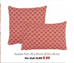 Intratuin Kussen Fien aanbieding