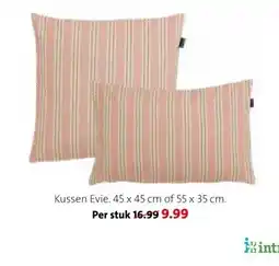 Intratuin Kussen Evie aanbieding
