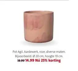 Intratuin Pot Agil aanbieding