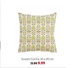 Intratuin Kussen Corina aanbieding