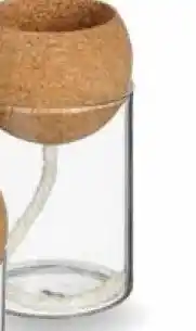 Intratuin Zelfbewaterende pot. Helder glas met kurk aanbieding