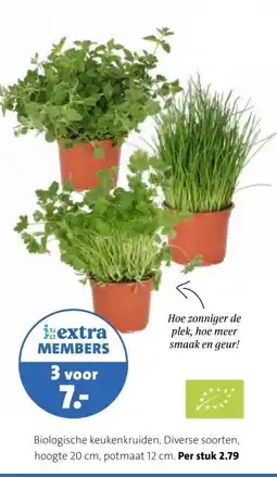 Intratuin Biologische keukenkruiden. aanbieding