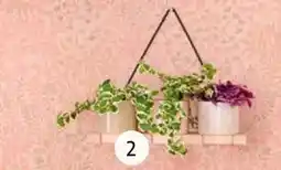 Intratuin Muurhangers Fenix aanbieding