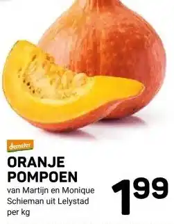 Ekoplaza ORANJE POMPOEN aanbieding