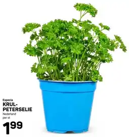 Ekoplaza Especia KRUL- PETERSELIE aanbieding