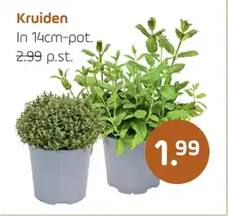 Coppelmans Kruiden aanbieding
