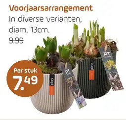 Coppelmans Voorjaarsarrangement aanbieding