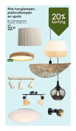 Leen Bakker Alle hanglampen, plafondlampen en spots aanbieding
