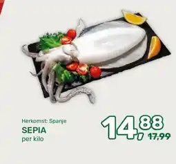 Amazing Oriëntal Herkomst: Spanje SEPIA aanbieding