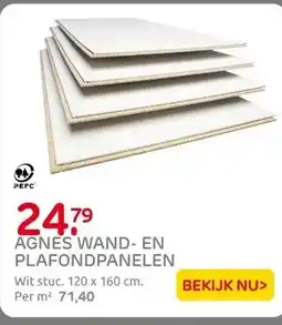Praxis Agnes wand-en plafondplaat vochtwerend aanbieding