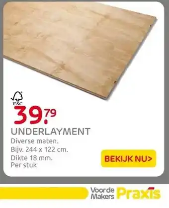 Praxis UNDERLAYMENT aanbieding