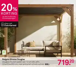 Karwei Silvano Douglas douglas aanbieding