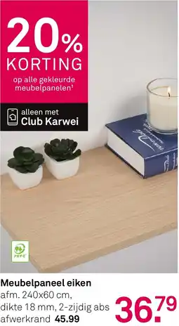 Karwei Dale Meubelpaneel eiken aanbieding