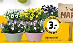 Jumbo Violenschalen aanbieding