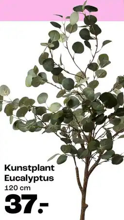 Kwantum Kunstplant Eucalyptus aanbieding