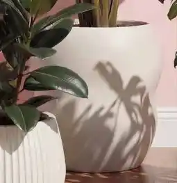 Kwantum Bloempot Pinet aanbieding