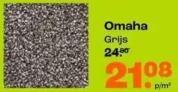 Kwantum Tapijt Omaha aanbieding