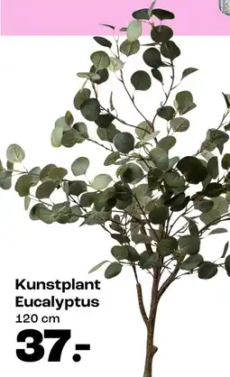 Kwantum Kunstplant Eucalyptus aanbieding