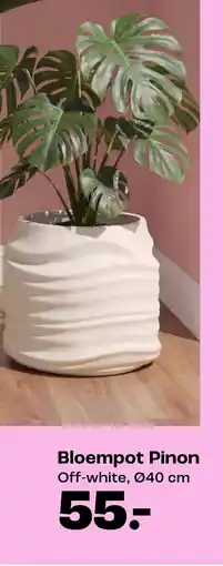 Kwantum Bloempot Pinon aanbieding