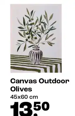 Kwantum Canvas Outdoor Olives aanbieding