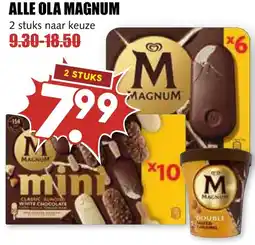 De Boerenschuur Alle ola magnum aanbieding