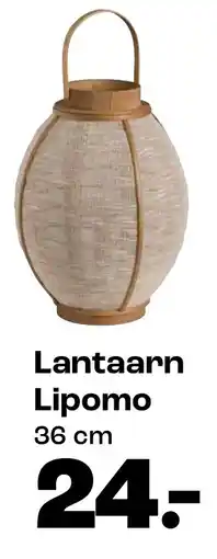 Kwantum Lantaarn Lipomo aanbieding