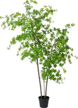 Intratuin Intratuin kunstplant Enkianthus D 21 H 175 cm aanbieding
