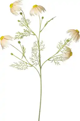 Intratuin Intratuin kunstbloem Cosmos roze / wit H 87 cm aanbieding