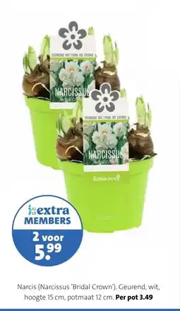 Intratuin Biologische keukenkruiden. aanbieding