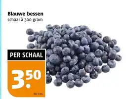 Poiesz Blauwe bessen aanbieding