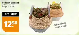 Poiesz Bollen in grasmand aanbieding