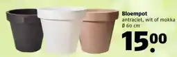 Poiesz Bloempot aanbieding