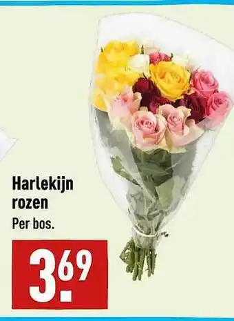 ALDI Harlekijn Rozen Per Bos. aanbieding